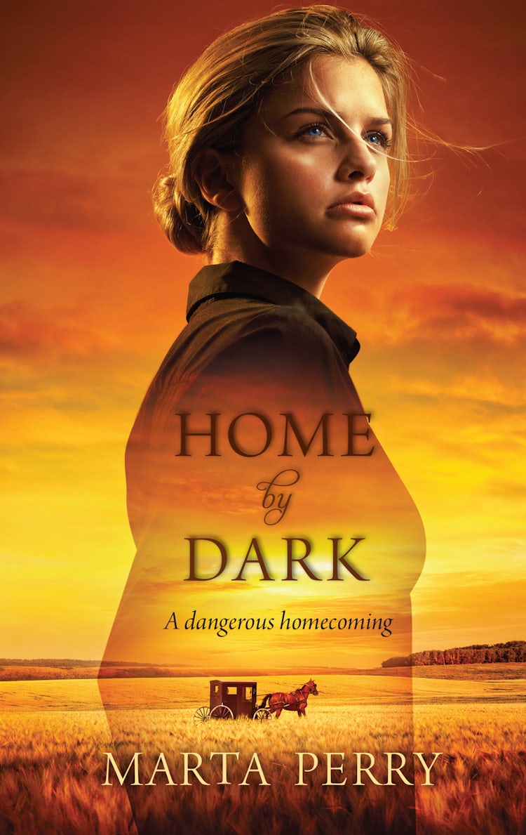 Cover image for Home By Dark, isbn: 9781460893005