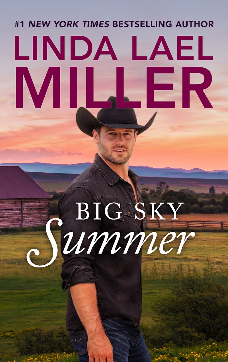 Cover image for Big Sky Summer, isbn: 9781460899342