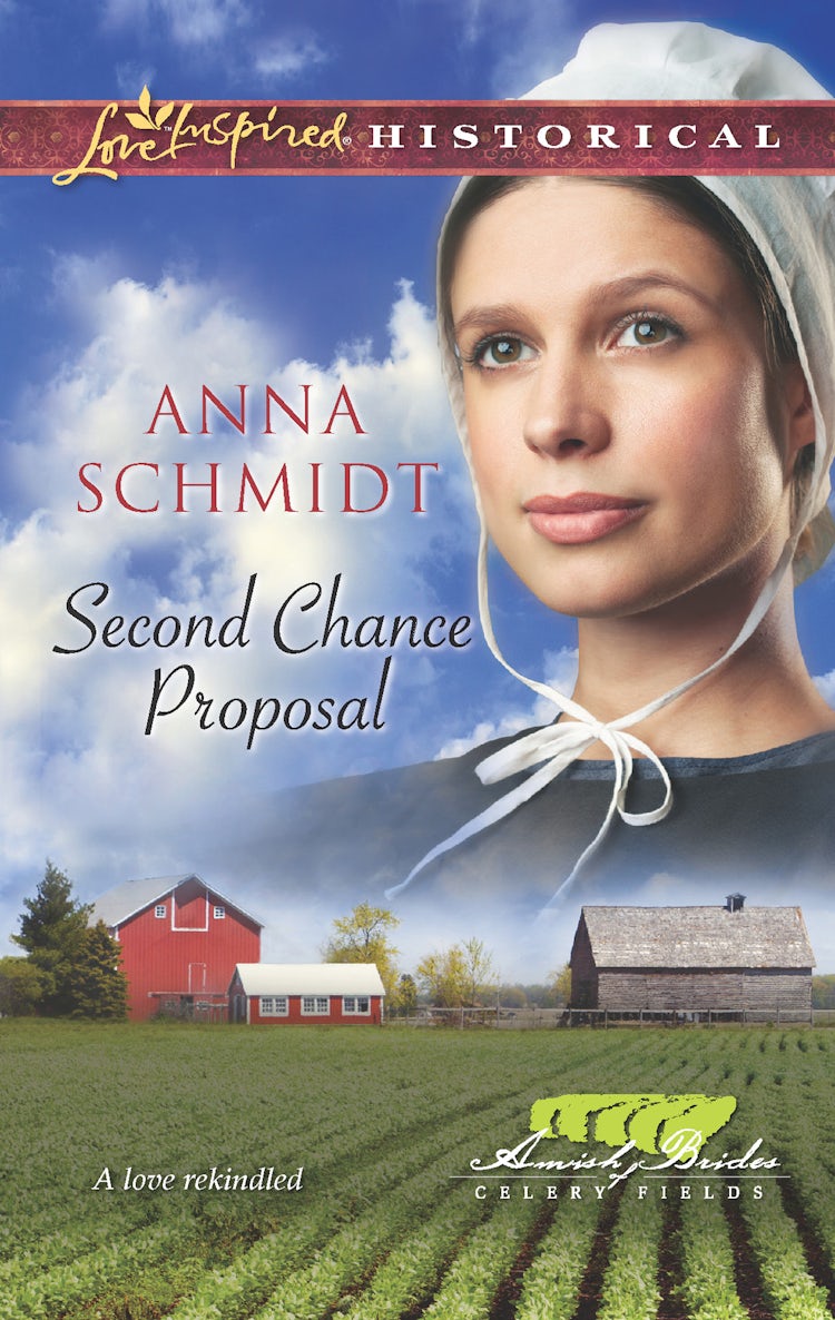 Cover image for Second Chance Proposal, isbn: 9781460899700