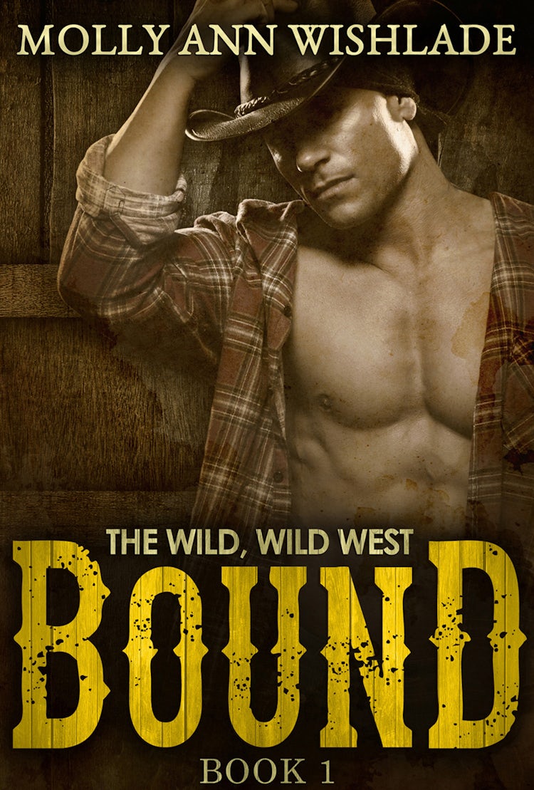 Cover image for Bound: A sizzling hot Western romance, isbn: 9781472099594