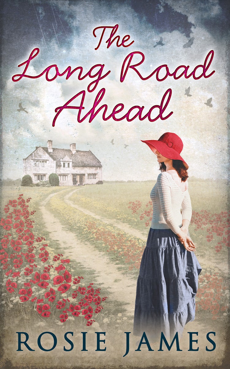 Cover image for The Long Road Ahead, isbn: 9781474035415
