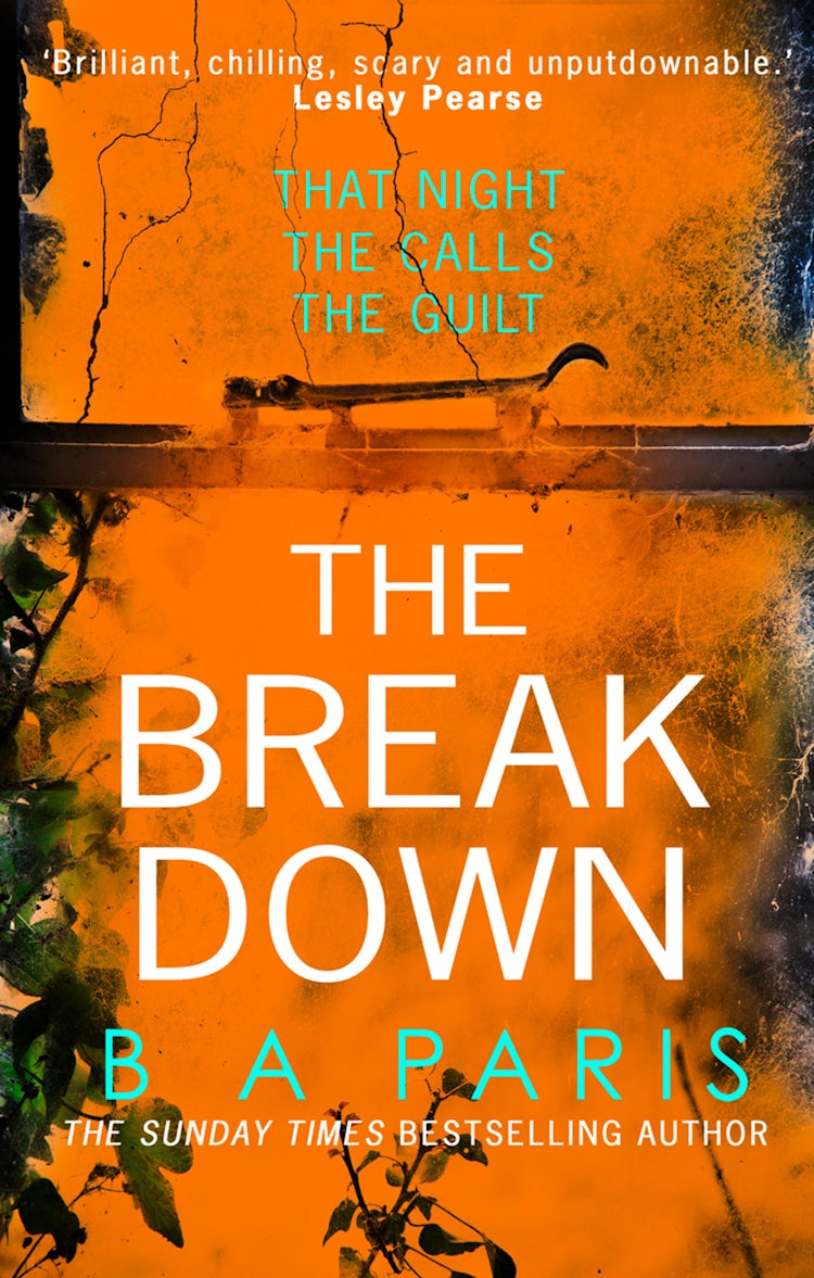 Cover image for The Breakdown, isbn: 9781474050661