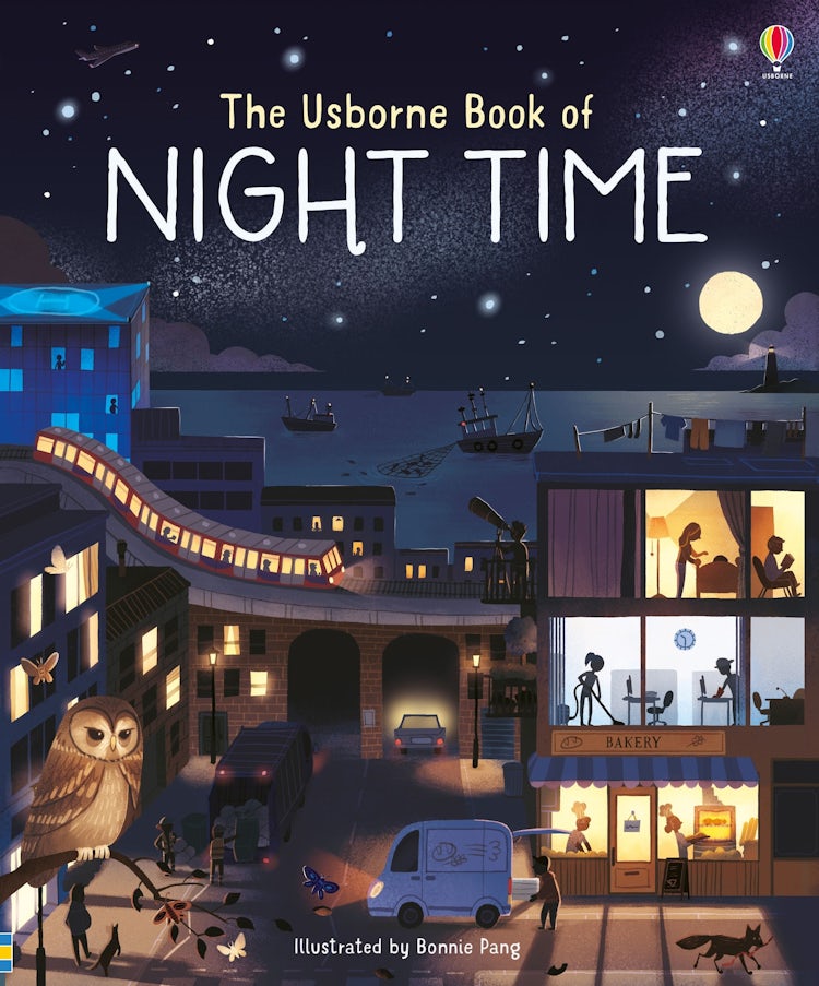 Cover image for The Usborne Book of Night Time, isbn: 9781474936606