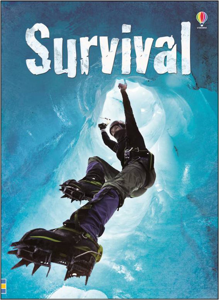 Cover image for Beginners Plus Survival, isbn: 9781474941969