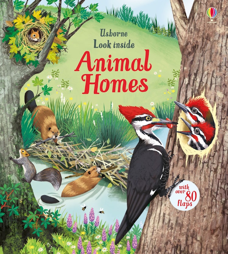 Cover image for Look Inside Animal Homes, isbn: 9781474942928