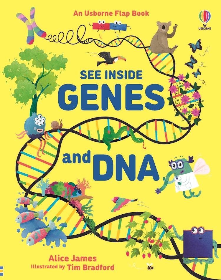 Cover image for See Inside Genes & DNA, isbn: 9781474943628