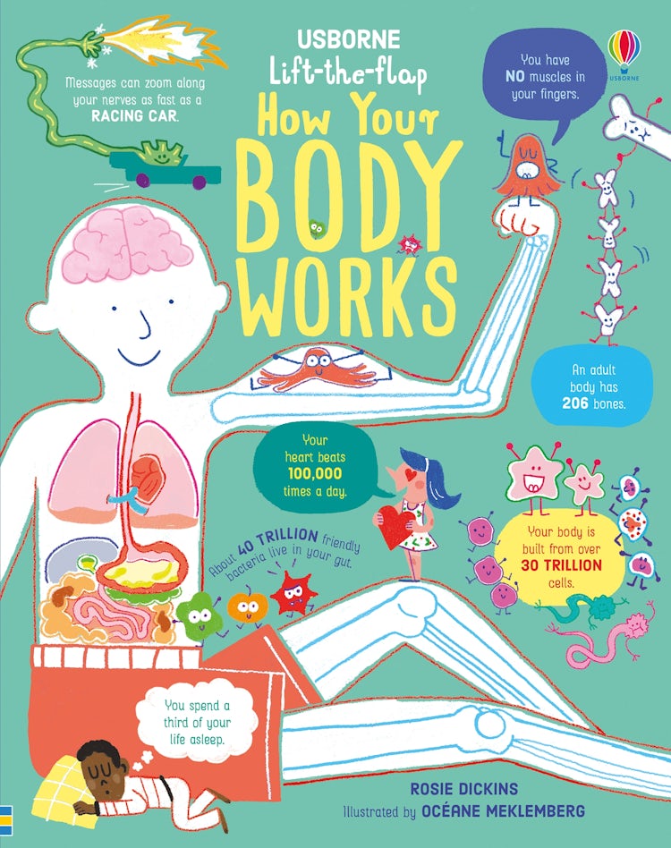 Cover image for Lift-the-Flap How Your Body Works, isbn: 9781474950732