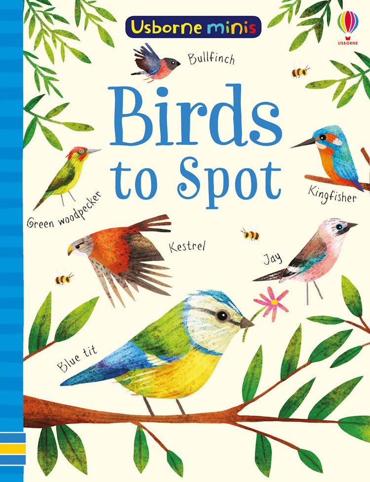 Cover image for Mini Books Birds to Spot, isbn: 9781474952156
