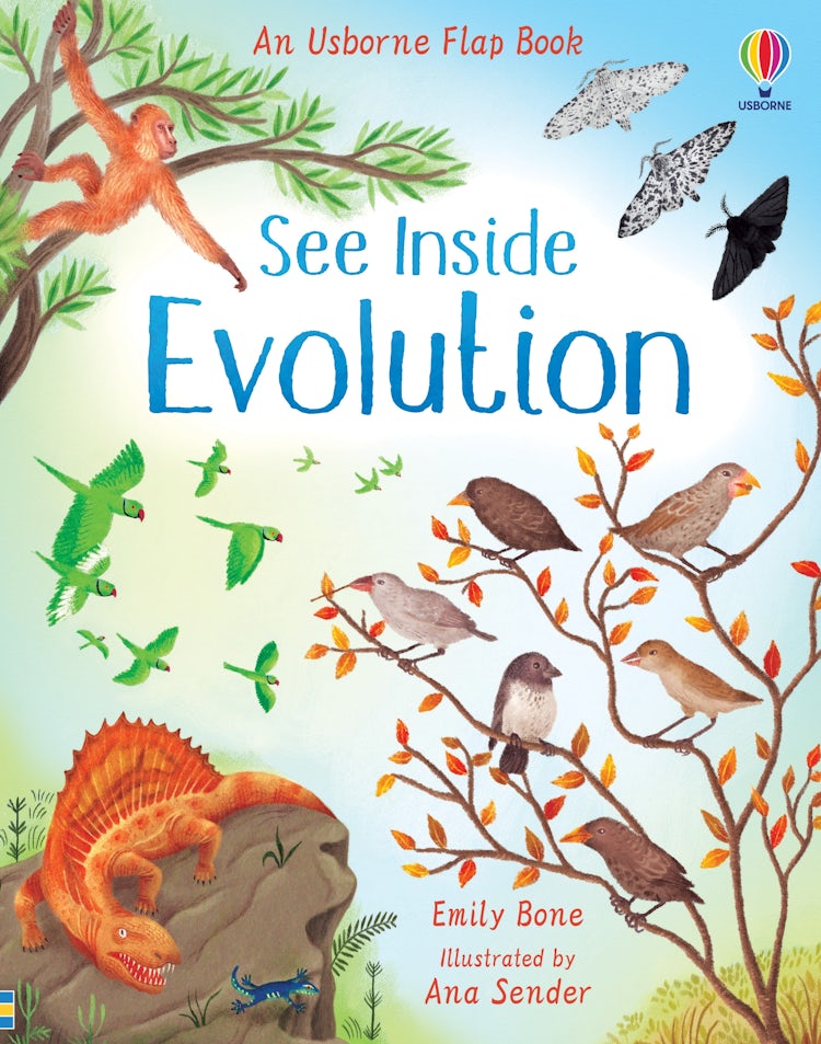 Cover image for See Inside Evolution, isbn: 9781474952798