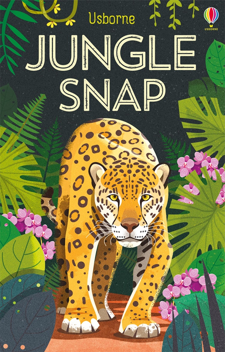 Cover image for Jungle Snap, isbn: 9781474956802