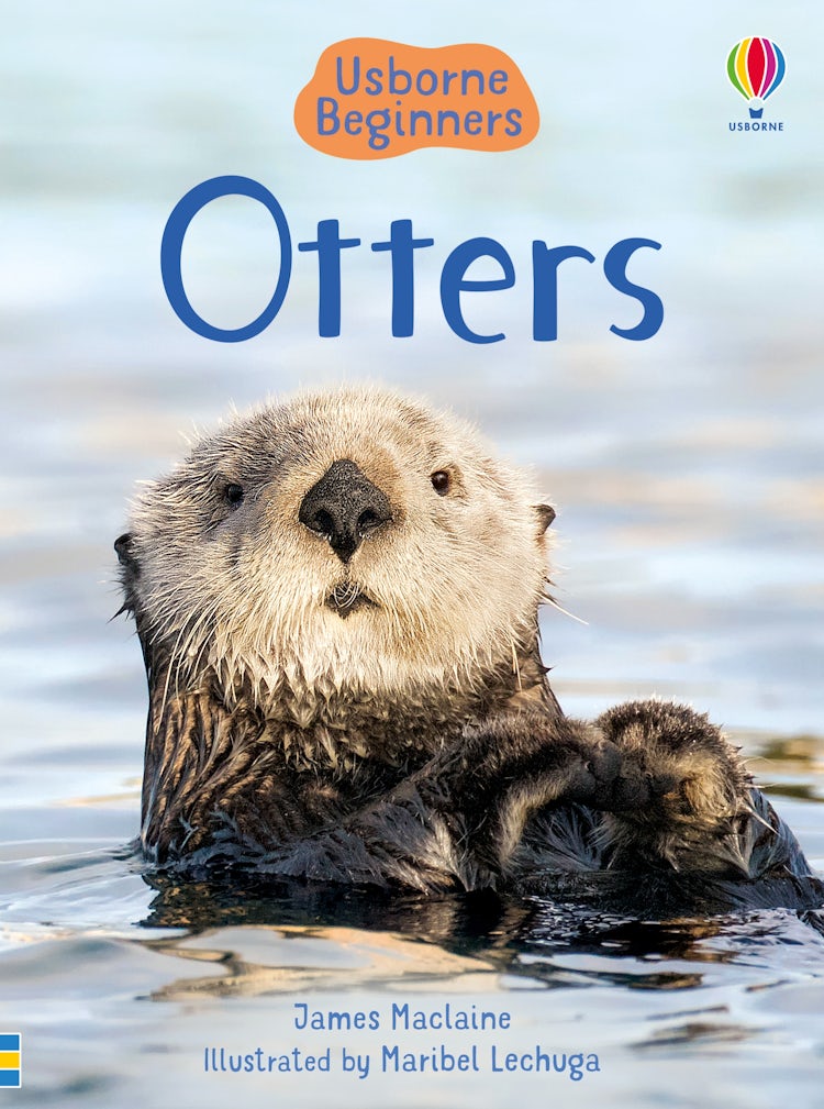 Cover image for Beginners Otters, isbn: 9781474968072