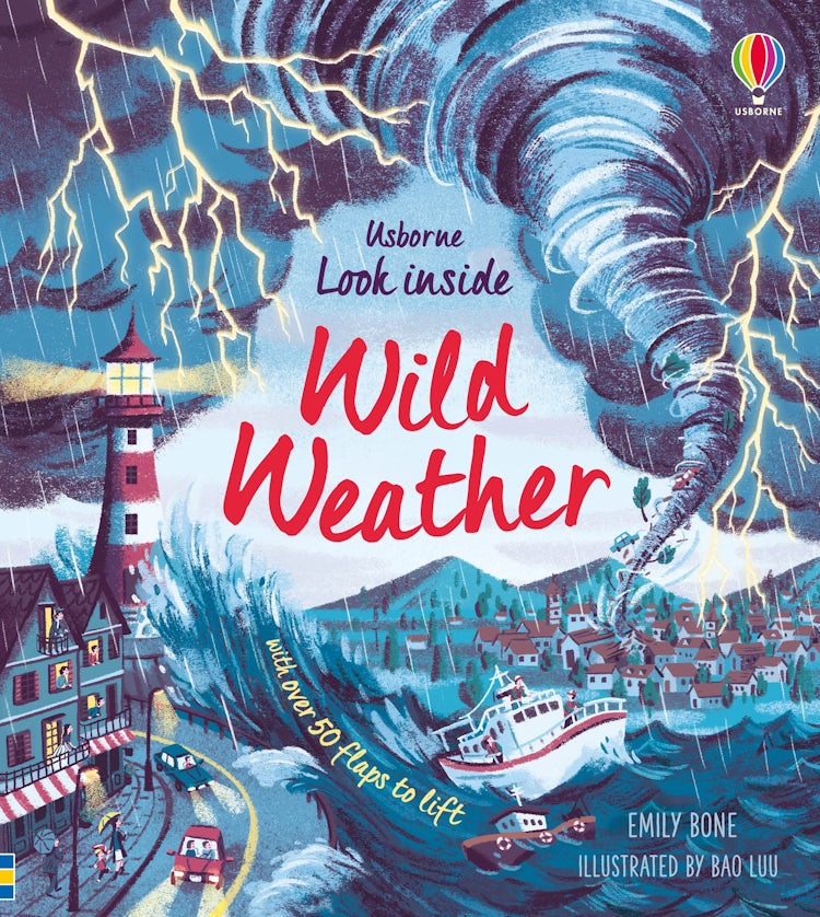 Cover image for Look Inside Wild Weather, isbn: 9781474968874