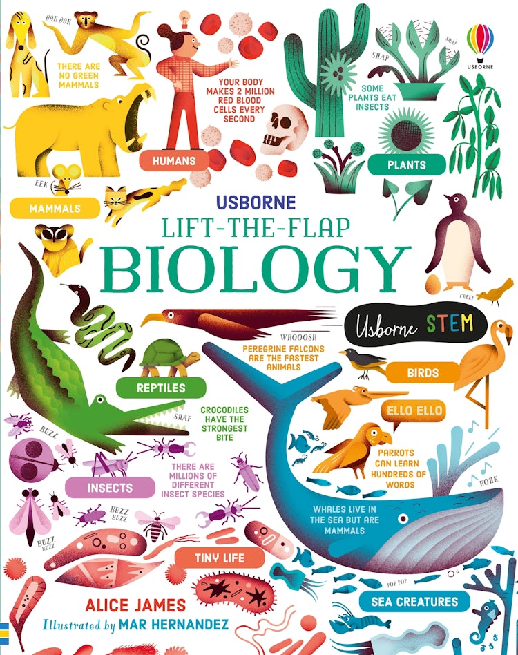 Cover image for Lift-the-Flap Biology, isbn: 9781474969154