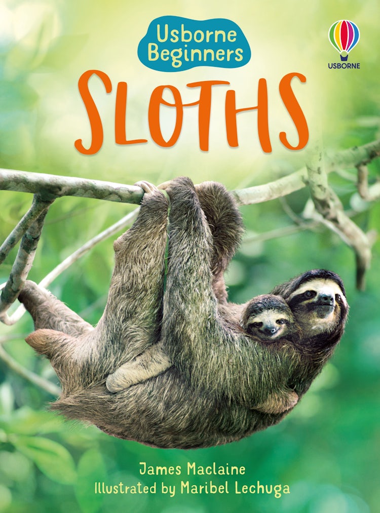 Cover image for Sloths, isbn: 9781474971638