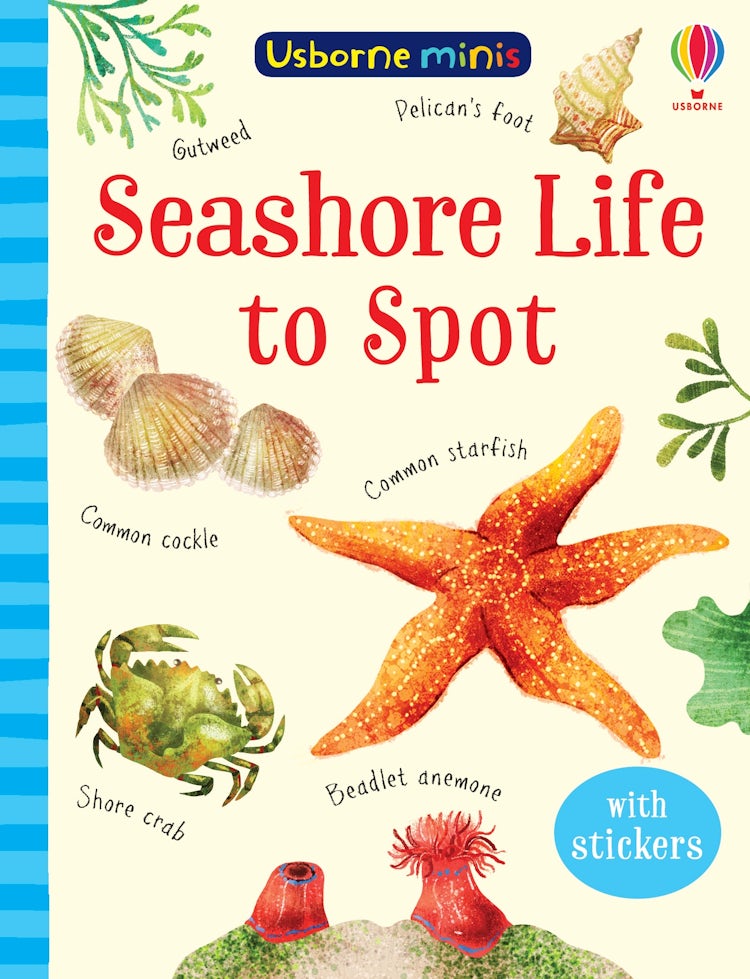 Cover image for Mini Books Seashore Life to Spot, isbn: 9781474974981