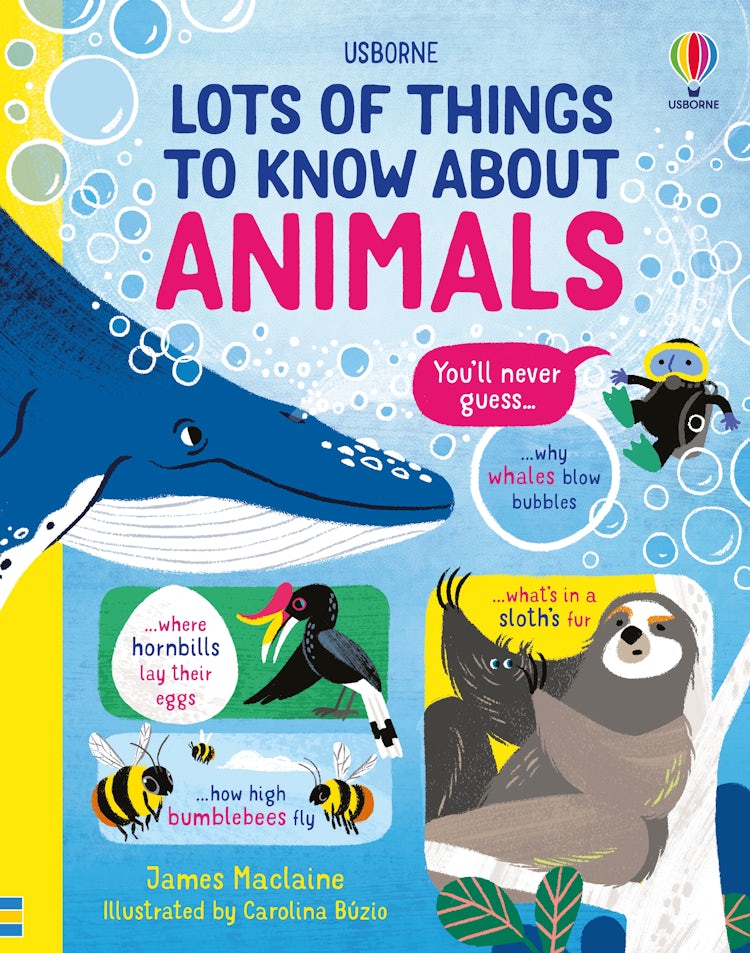 Cover image for Lots of Things to Know About Animals, isbn: 9781474990752
