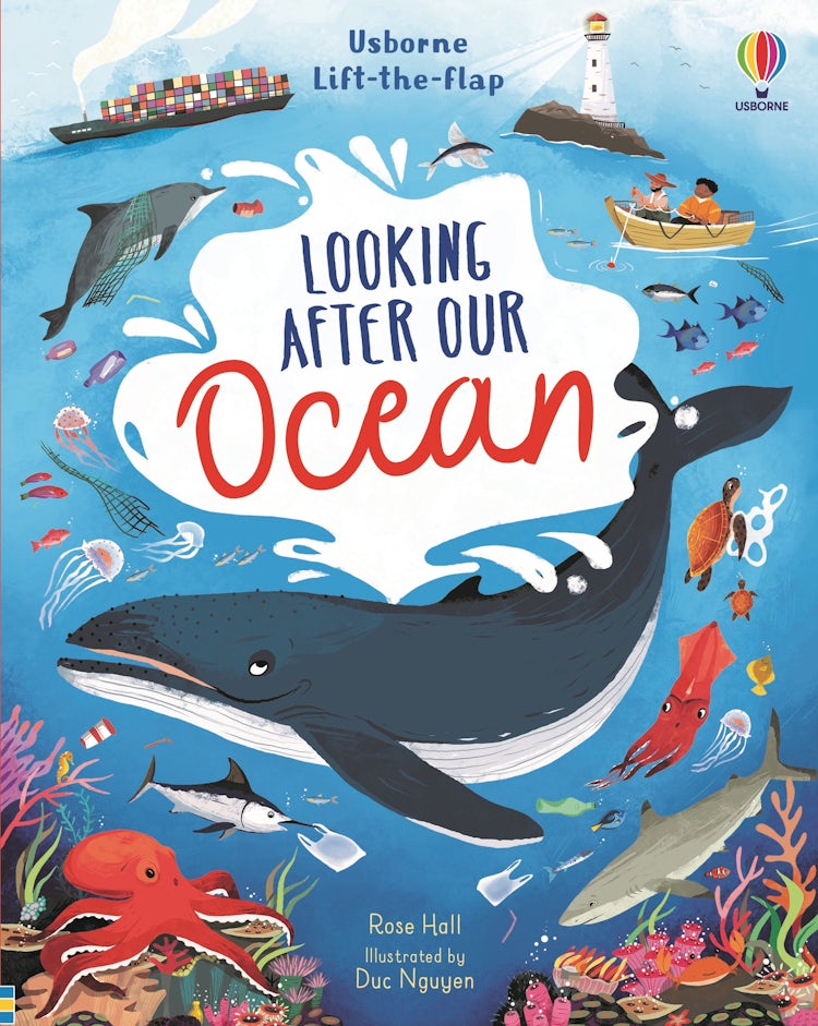Cover image for Lift-the-Flap: Looking After Our Ocean, isbn: 9781474997898