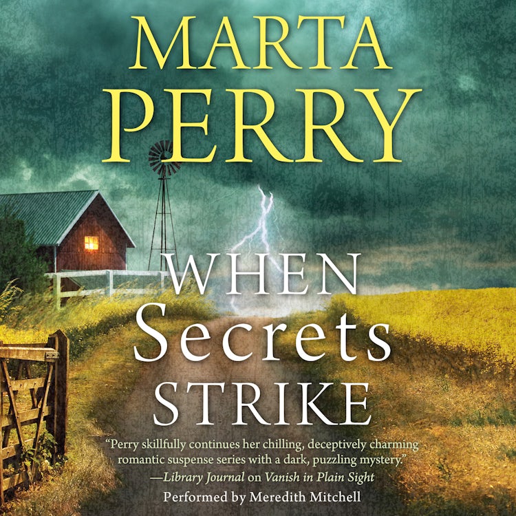 Cover image for When Secrets Strike, isbn: 9781488200748