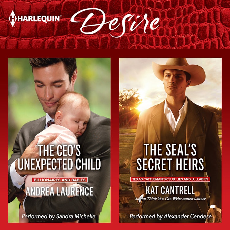 Cover image for The CEO's Unexpected Child & The SEAL's Secret Heirs, isbn: 9781488201394