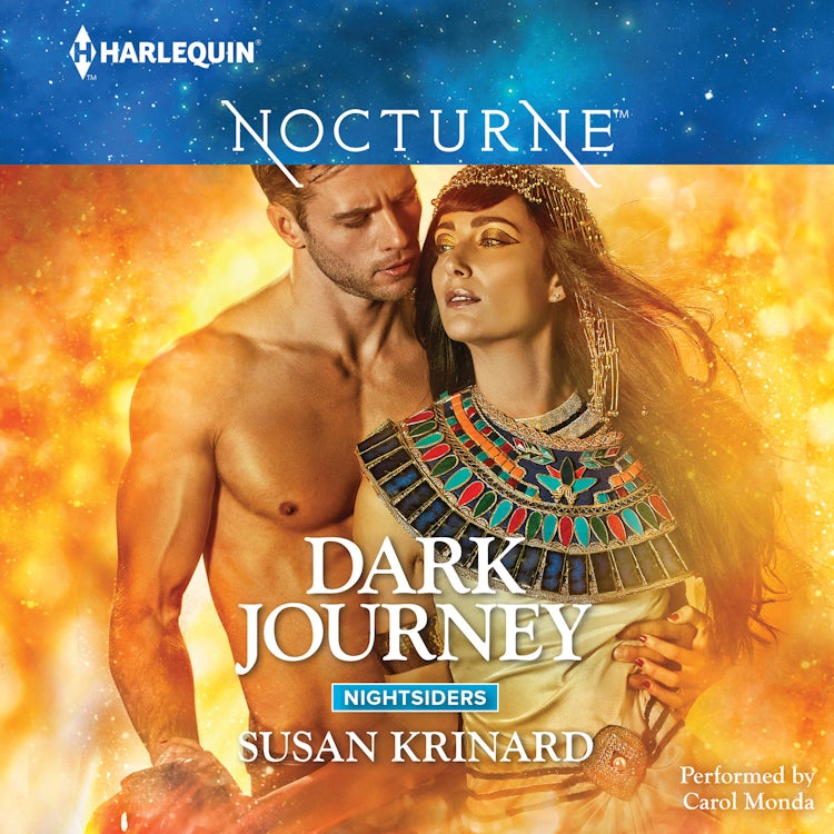 Cover image for Dark Journey, isbn: 9781488201998