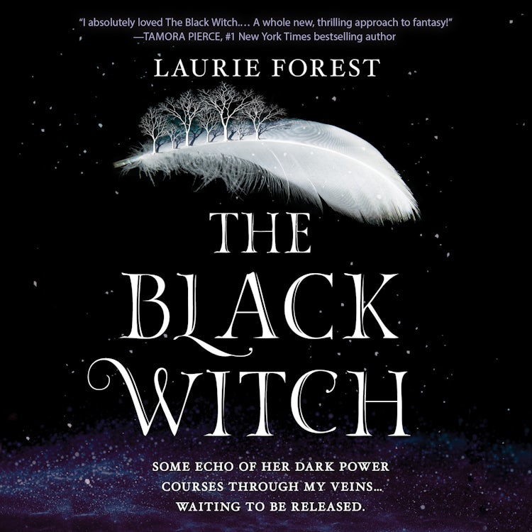 Cover image for The Black Witch, isbn: 9781488202896