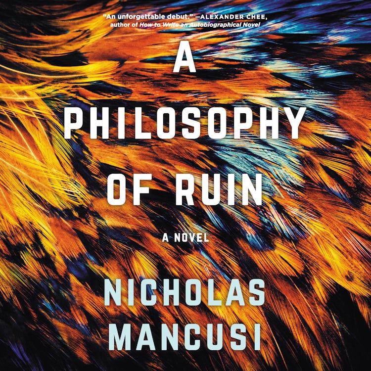 Cover image for A Philosophy of Ruin, isbn: 9781488206405