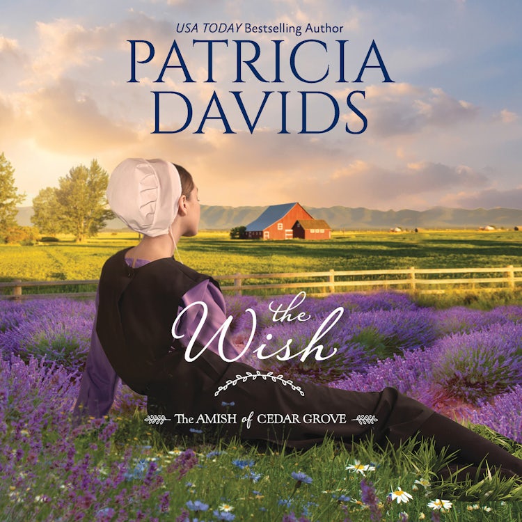 Cover image for The Wish, isbn: 9781488206429