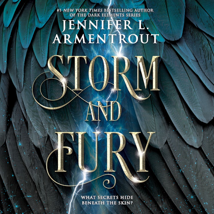 Cover image for Storm and Fury, isbn: 9781488206573