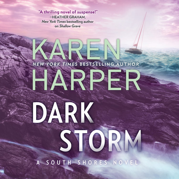 Cover image for Dark Storm, isbn: 9781488206627
