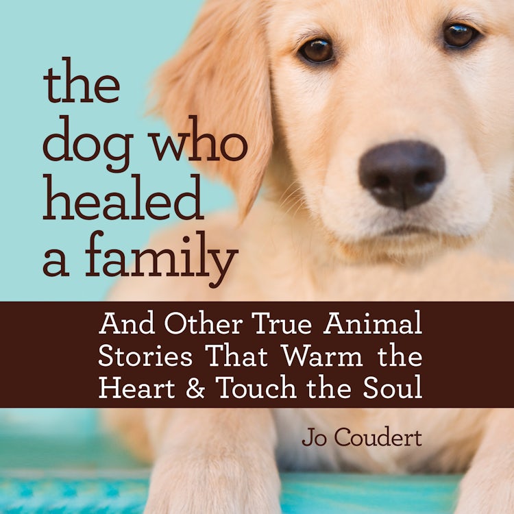Cover image for The Dog Who Healed a Family, isbn: 9781488209499