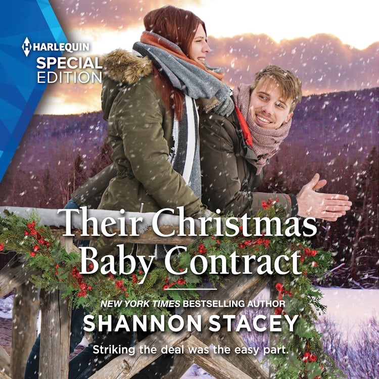 Cover image for Their Christmas Baby Contract, isbn: 9781488209758