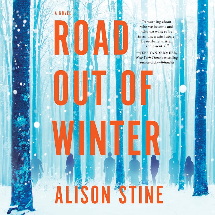 Cover image for Road Out of Winter, isbn: 9781488209932