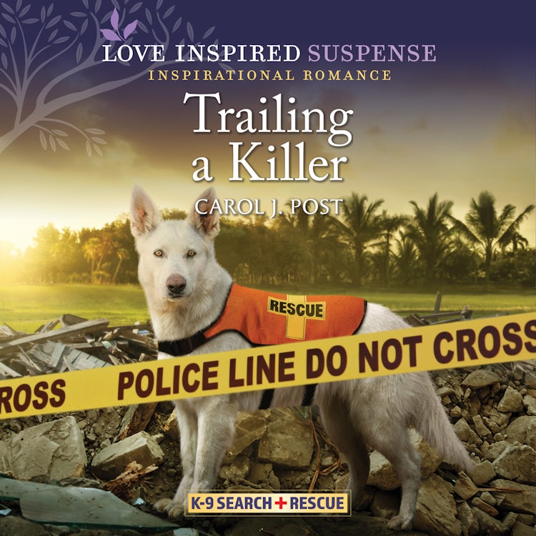 Cover image for Trailing a Killer, isbn: 9781488211102
