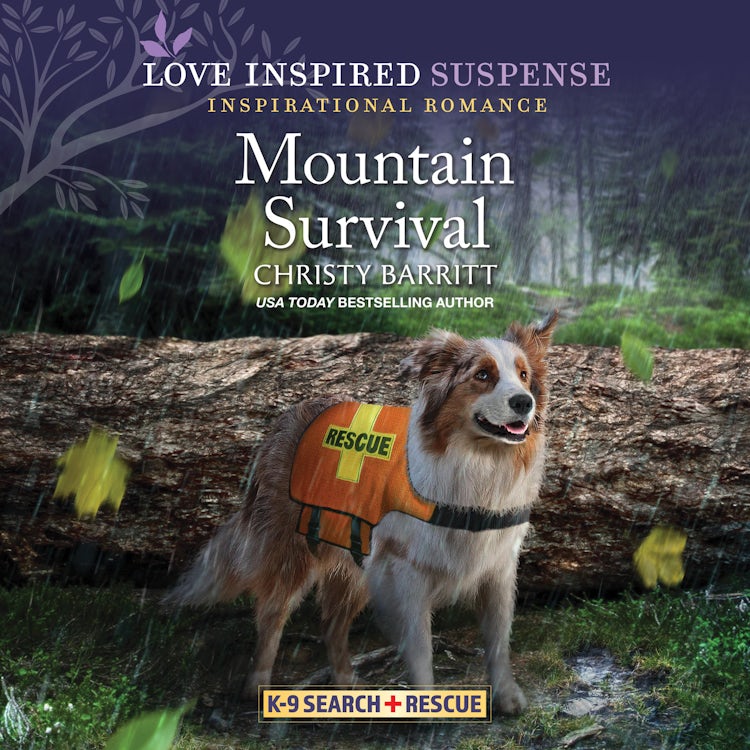 Cover image for Mountain Survival, isbn: 9781488211119