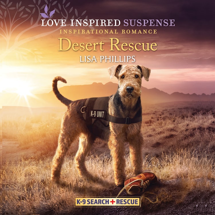 Cover image for Desert Rescue, isbn: 9781488211126