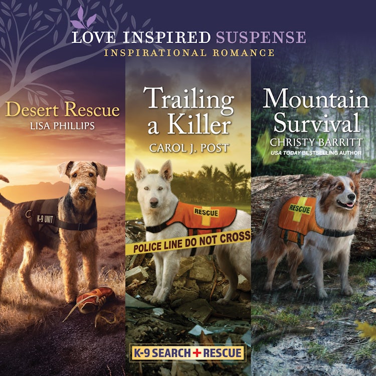 Cover image for Desert Rescue & Trailing a Killer & Mountain Survival, isbn: 9781488211133