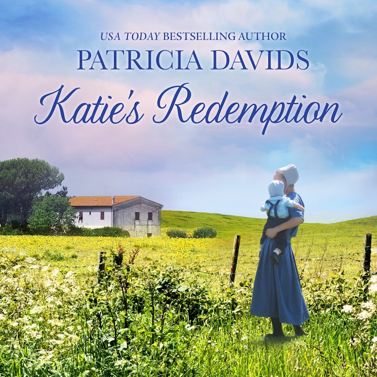 Cover image for Katie's Redemption, isbn: 9781488212178