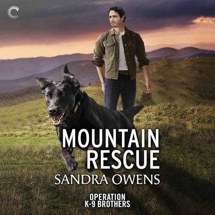Cover image for Mountain Rescue, isbn: 9781488212246