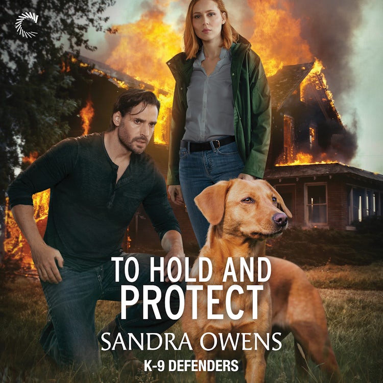 Cover image for To Hold and Protect, isbn: 9781488227219