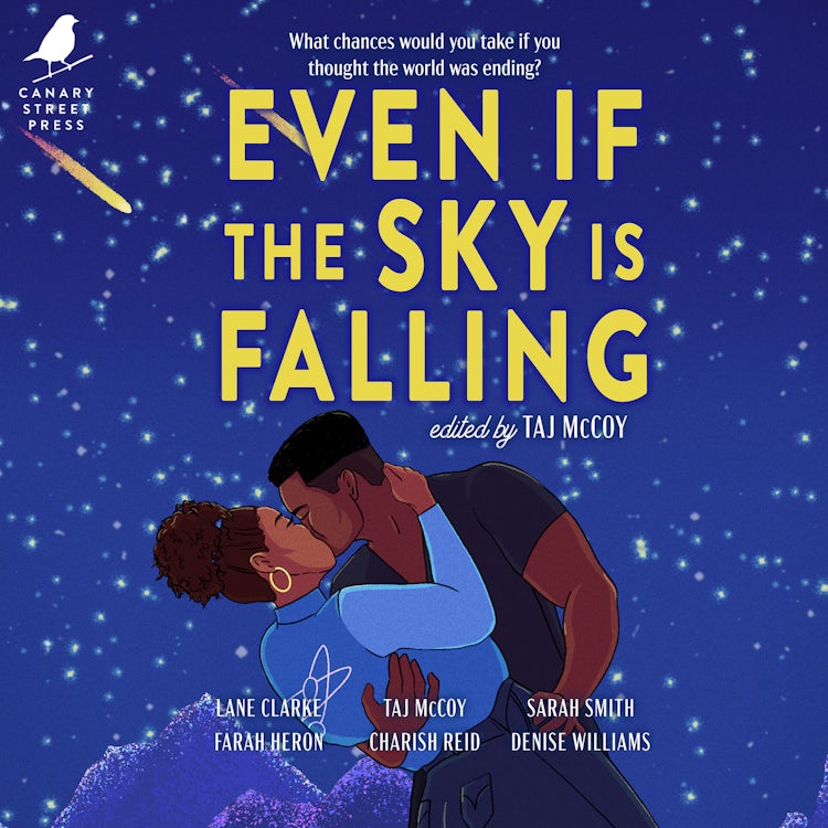Cover image for Even If the Sky is Falling, isbn: 9781488228247