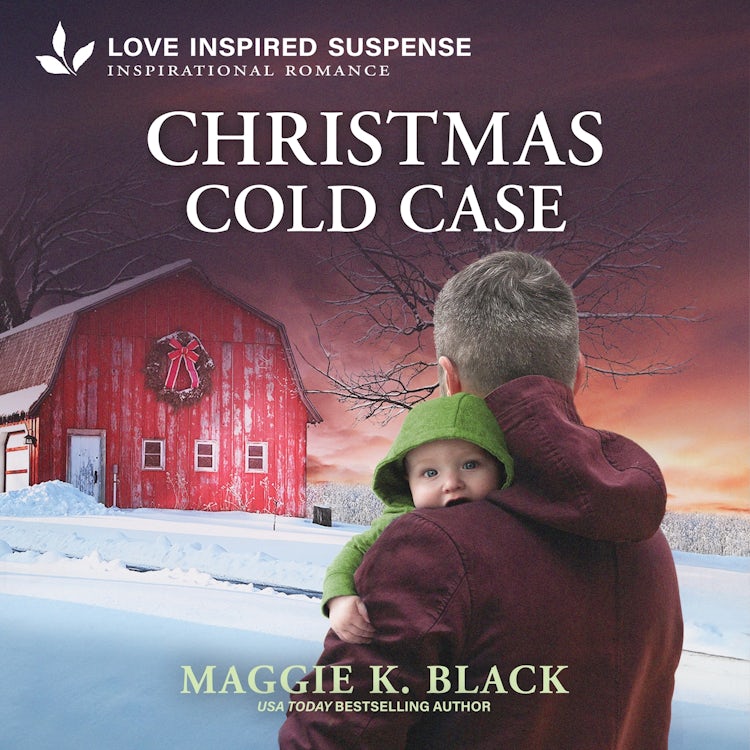 Cover image for Christmas Cold Case, isbn: 9781488232077