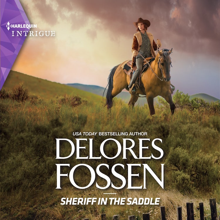 Cover image for Sheriff in the Saddle, isbn: 9781488232282