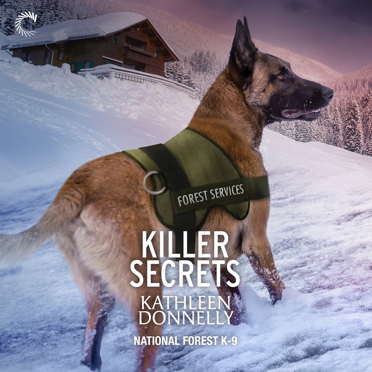 Cover image for Killer Secrets, isbn: 9781488232305