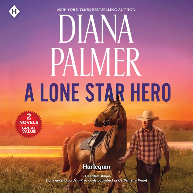 Cover image for A Lone Star Hero, isbn: 9781488232329