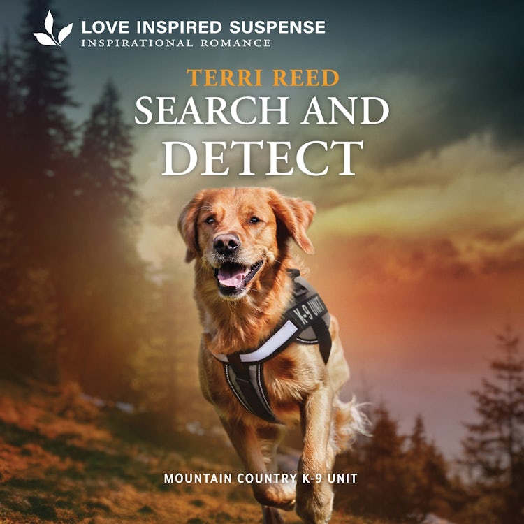 Cover image for Search and Detect, isbn: 9781488232497