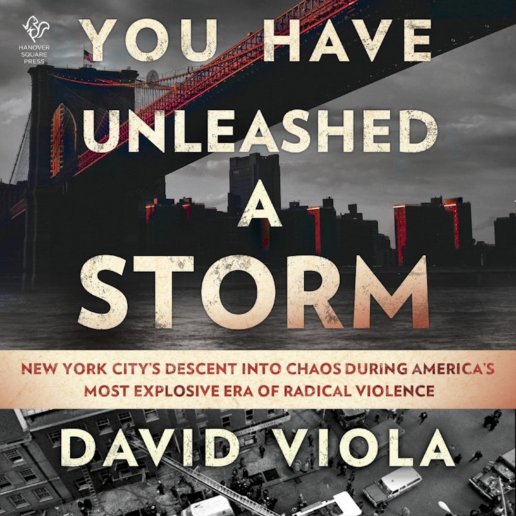 Cover image for You Have Unleashed a Storm, isbn: 9781488233500