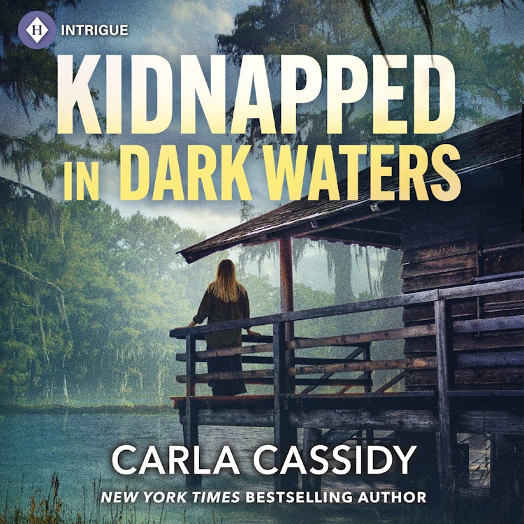 Cover image for Kidnapped in Dark Waters, isbn: 9781488237539