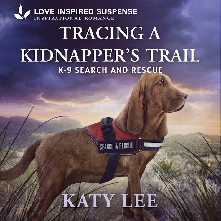Cover image for Tracing a Kidnapper's Trail, isbn: 9781488237560