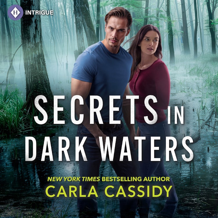 Cover image for Secrets in Dark Waters, isbn: 9781488238550