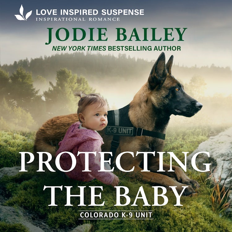 Cover image for Protecting the Baby, isbn: 9781488238628
